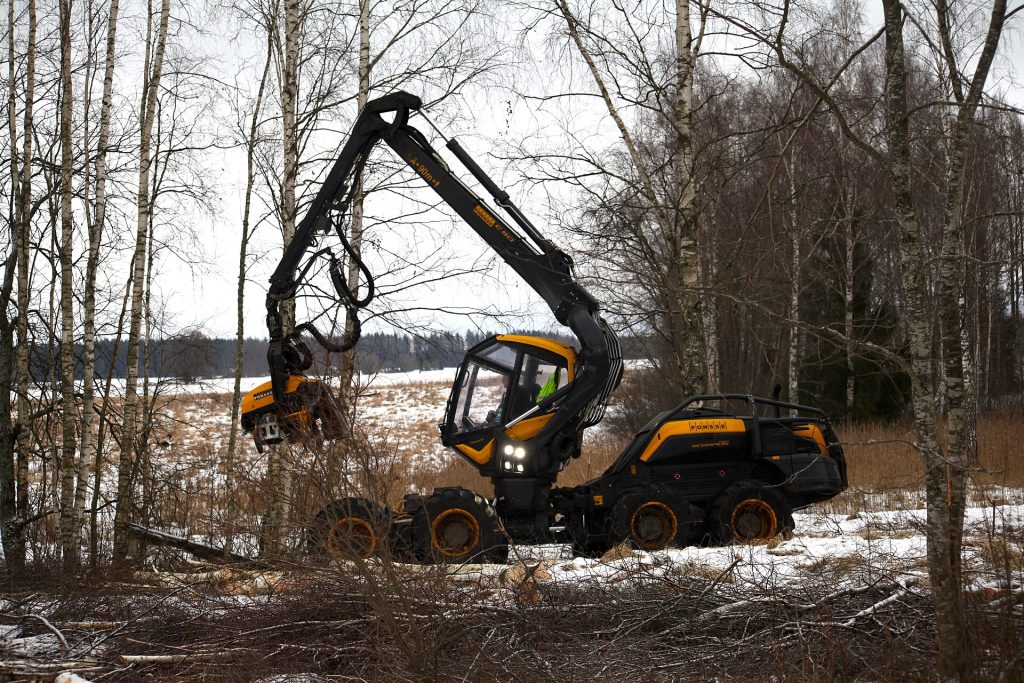 Harvester bei der Holzernte im Wald