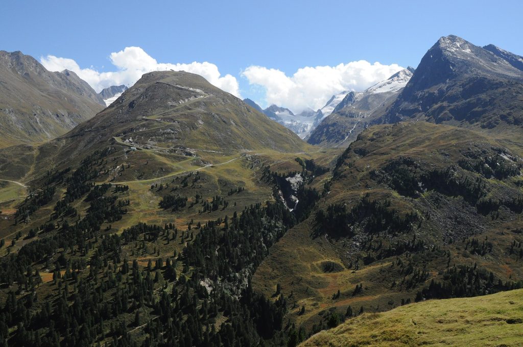 Zirbenwald in Obergurgl im Tiroler Ötztal